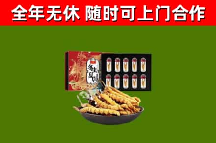 安陆市回收冬虫夏草价格